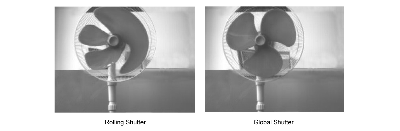 Global and Rolling Shutter